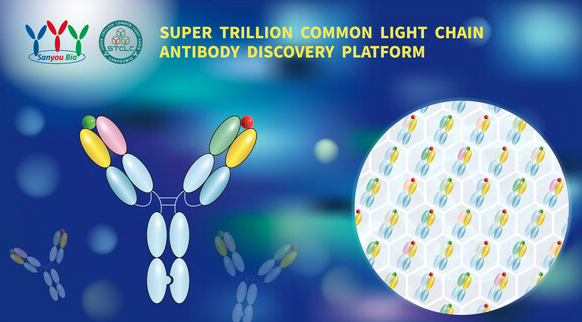 China-based startup Sanyou unveils novel antibody discovery platform