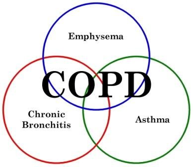 Almirall grants commercial rights for COPD drug Aclidinium in Australia and New Zealand to Invida Holdings