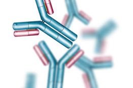 Antibody R&D: Alliances is the way forward