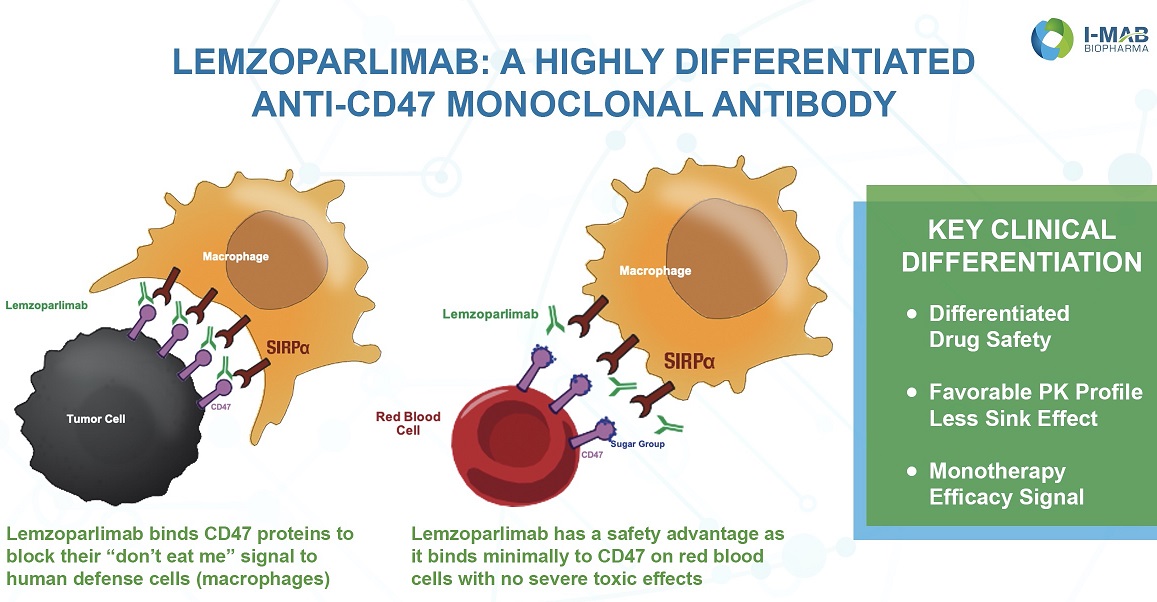 I-Mab reports efficacy of Anti-CD47 monoclonal Ab on relapsed/refractory malignancy