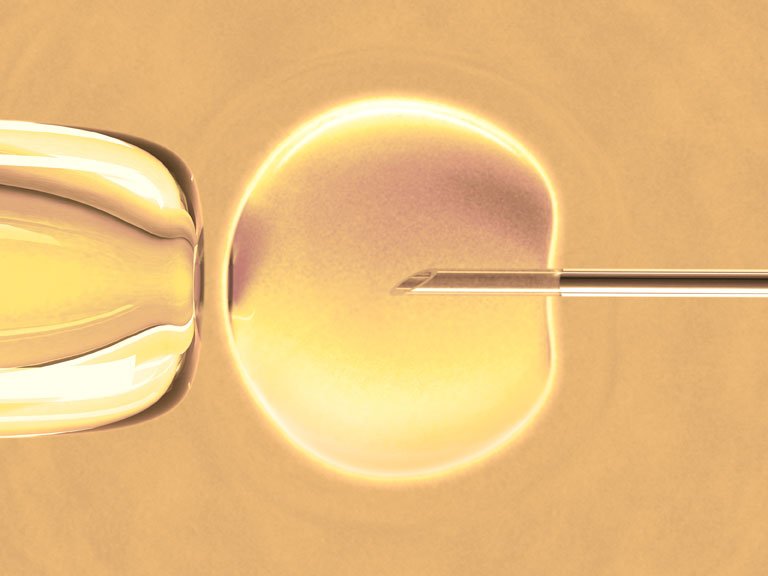 LifeCell is India's first private stem cell storage company
