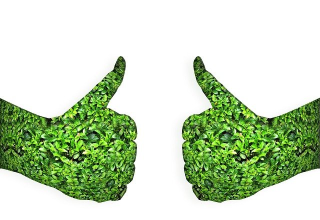 This is the second FDA approval that the company has received this month