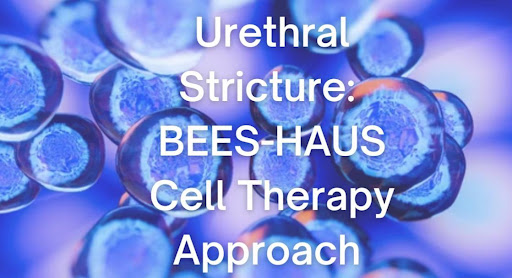 The BEES-HAUS Cell Therapy, Tested With Cell Engraftment by Urologists at the Edogawa Hospital in Japan, Has The Potential to Stop Recurrence of Urethral Stricture